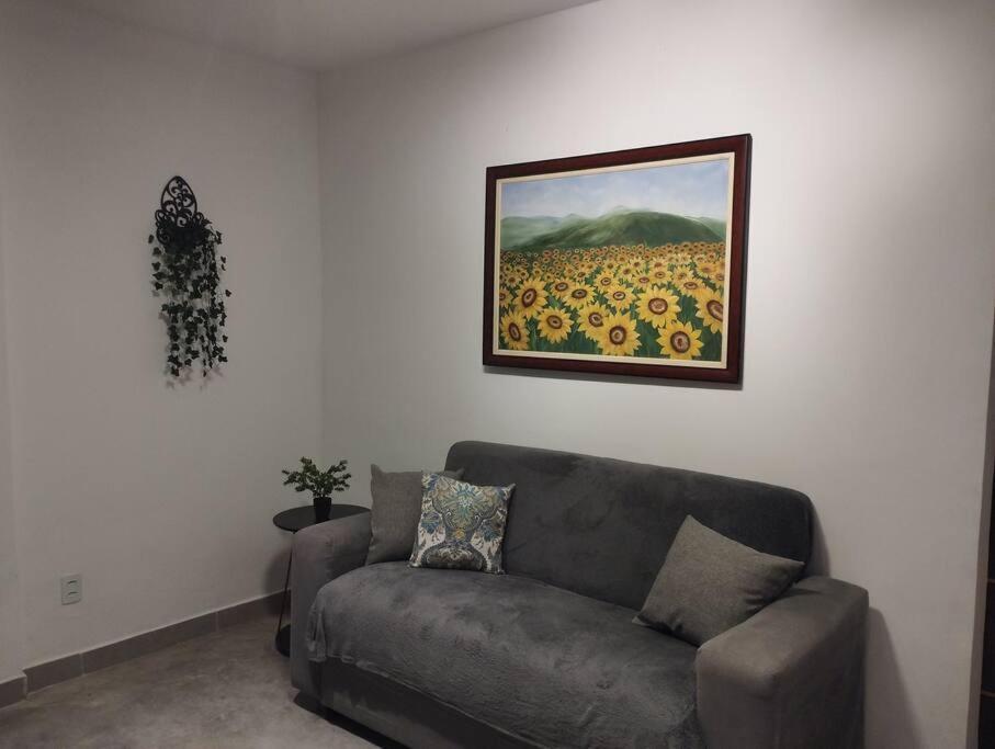 Terreo - Ar-condicionado, Wi-fi, Garagem - Mauricio Nassau, Perto De Apartment *